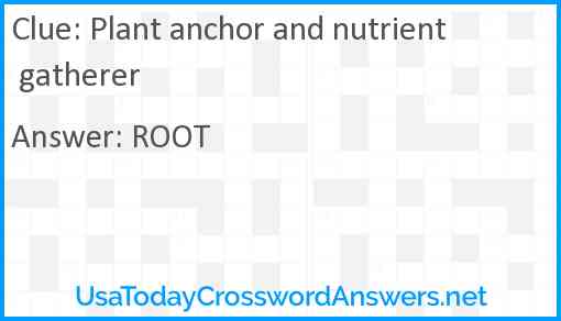 Plant anchor and nutrient gatherer Answer