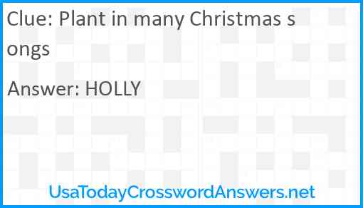 Plant in many Christmas songs Answer