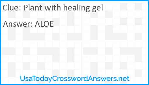 Plant with healing gel Answer