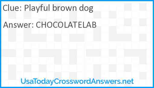 Playful brown dog Answer