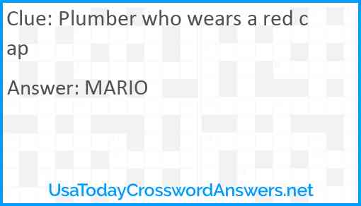 Plumber who wears a red cap Answer