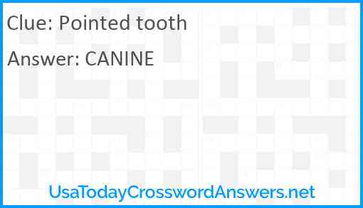 Pointed tooth Answer