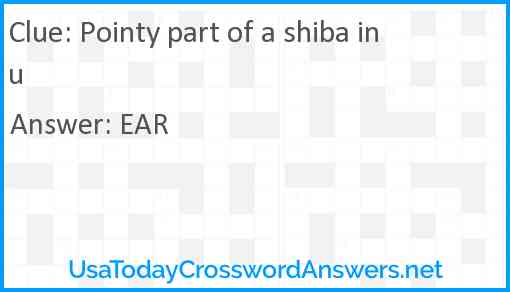 Pointy part of a shiba inu Answer