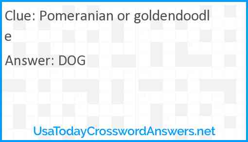 Pomeranian or goldendoodle Answer