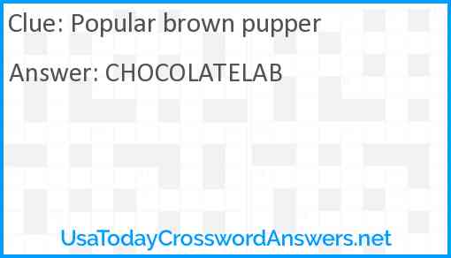 Popular brown pupper Answer