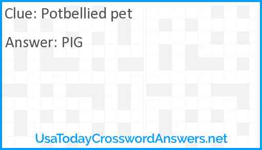 Potbellied pet Answer