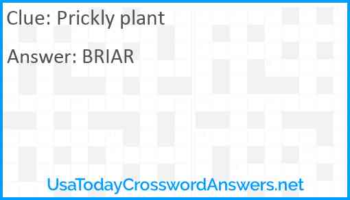 Prickly plant Answer