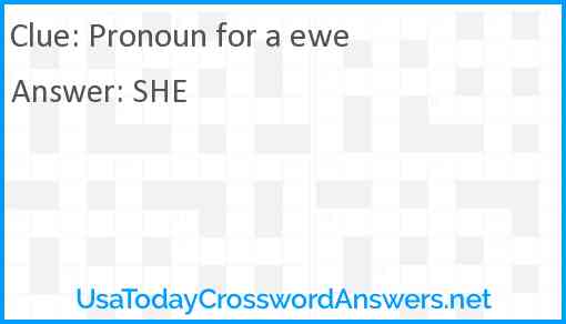 Pronoun for a ewe Answer