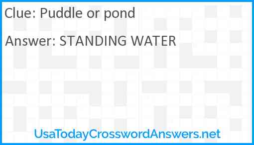 Puddle or pond Answer