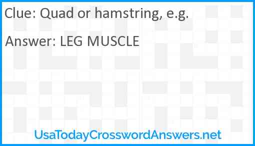 Quad or hamstring, e.g. Answer
