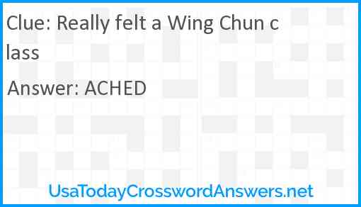 Really felt a Wing Chun class Answer