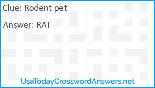 Rodent pet Answer