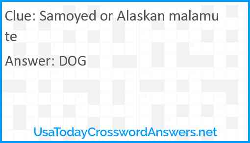 Samoyed or Alaskan malamute Answer