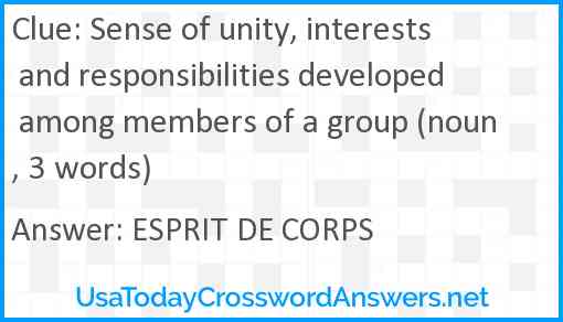 Sense of unity, interests and responsibilities developed among members of a group (noun, 3 words) Answer