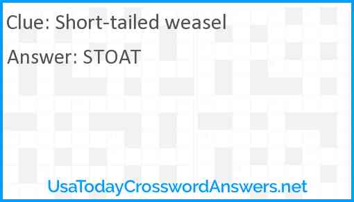 Short-tailed weasel Answer