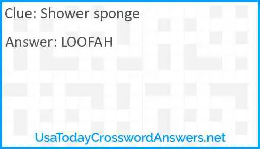 Shower sponge Answer