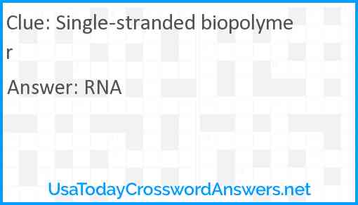 Single-stranded biopolymer Answer