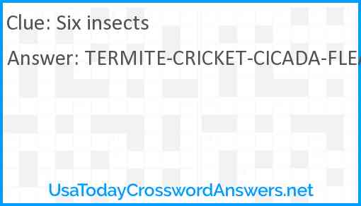 Six insects Answer