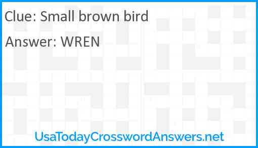 Small brown bird Answer