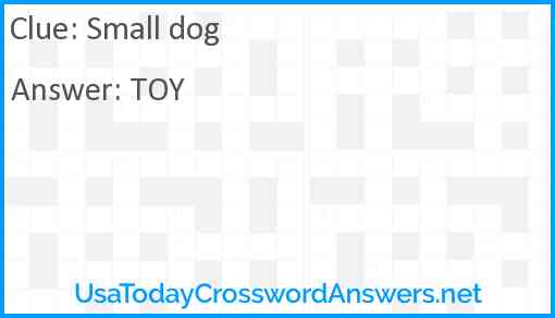 Small dog Answer