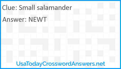 Small salamander crossword clue UsaTodayCrosswordAnswers net