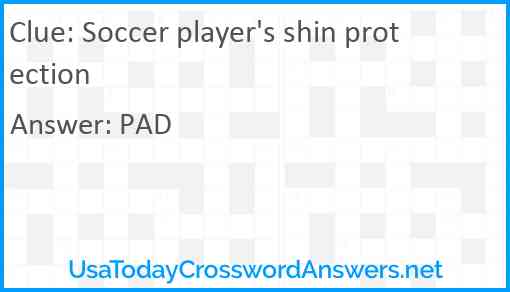Soccer player's shin protection Answer