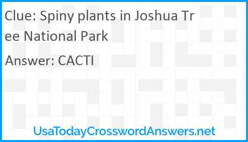 Spiny plants in Joshua Tree National Park Answer