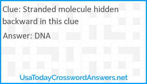 Stranded molecule hidden backward in this clue Answer