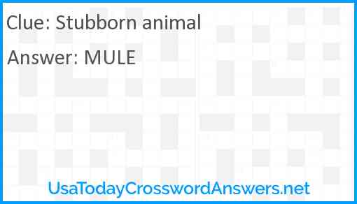 Stubborn animal Answer