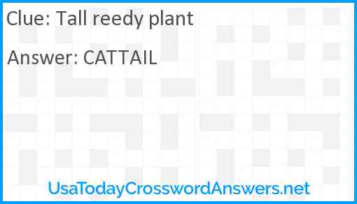 Tall reedy plant Answer