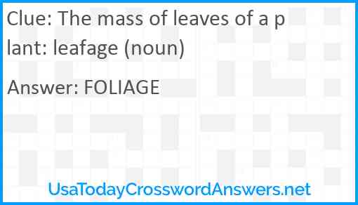 The mass of leaves of a plant: leafage (noun) Answer