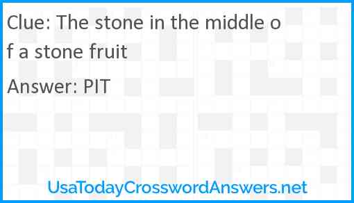 The stone in the middle of a stone fruit Answer