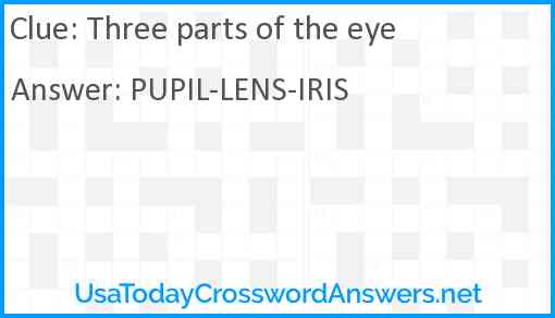 Three parts of the eye crossword clue UsaTodayCrosswordAnswers net