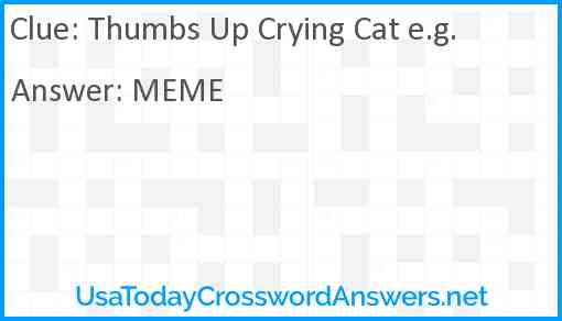 Thumbs Up Crying Cat e.g. Answer