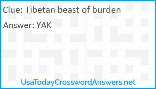Tibetan beast of burden Answer