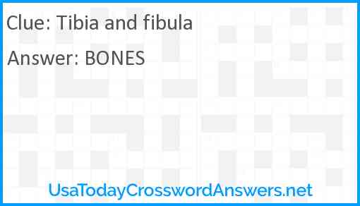Tibia and fibula Answer