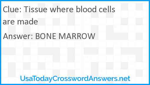 Tissue where blood cells are made Answer