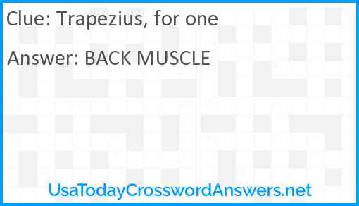 Trapezius, for one Answer