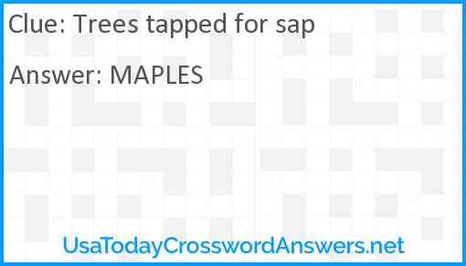 Trees tapped for sap Answer