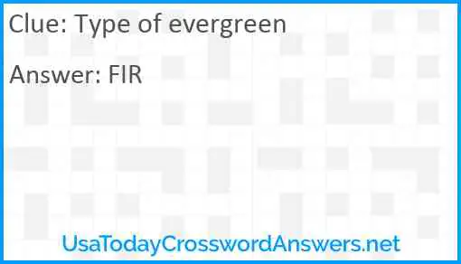 Type of evergreen Answer