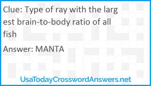 Type of ray with the largest brain-to-body ratio of all fish Answer