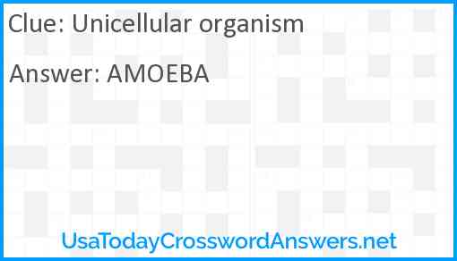 Unicellular organism Answer