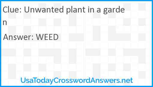 Unwanted plant in a garden Answer