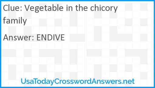 Vegetable in the chicory family Answer