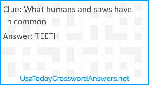 What humans and saws have in common Answer