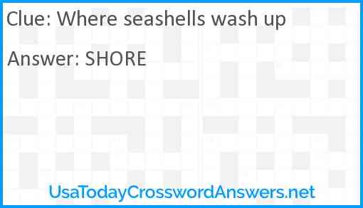 Where seashells wash up Answer