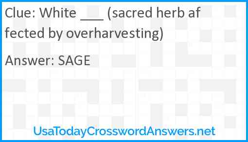 White ___ (sacred herb affected by overharvesting) Answer