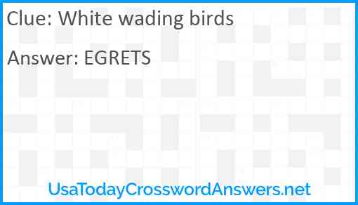 White wading birds Answer