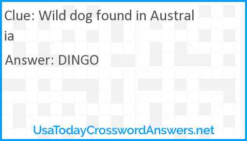 Wild dog found in Australia Answer