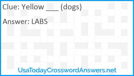 Yellow ___ (dogs) Answer